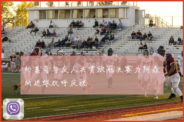 约基奇与友人共赏欧冠决赛为阿森纳进球欢呼庆祝